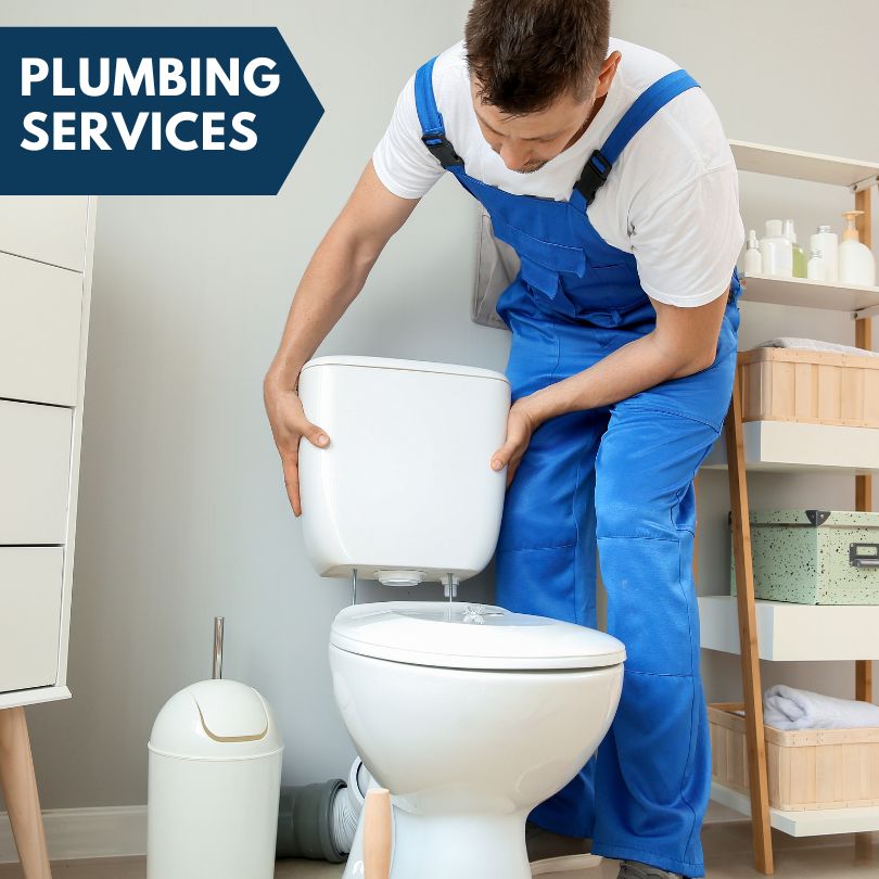 Plumbing Company in Afton, MI